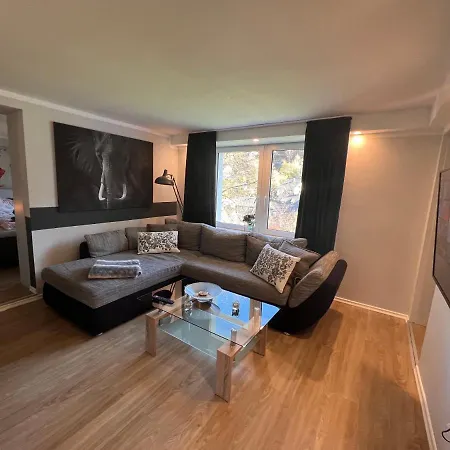 Willingenvakanties,modern Quality Restyled Nov 2022 Willingen 2023 Ferienhaus